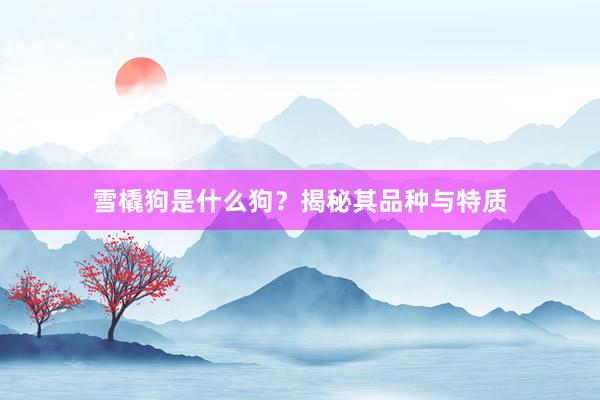 雪橇狗是什么狗？揭秘其品种与特质